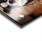 Boston Terrier Puppy Discovers Sparkling Christmas Lights Impression Acrylique