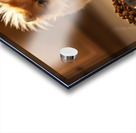 Excited Pomeranian Puppy Celebrates Full Food Bowl Impression Acrylique