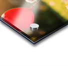 Pomeranian Puppy Discovers Floating Red Balloon Impression Acrylique