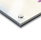 Exhausted Dachshund Puppy Rests Beside The Giant Ball Impression Acrylique