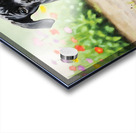 Cane Corso Puppy Playing In Muddy Garden Acrylic print