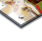 Corgi Puppy Discovers The Special Toy Box Acrylic print