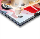 Clean Corgi Puppy After Successful Car Wash Impression Acrylique