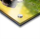 Cane Corso Puppy Discovers Sweet Ice Cream Treat Impression Acrylique