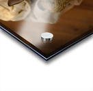 Chihuahua Puppy Naps On Laundry Pile Acrylic print