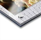 Chihuahua Puppy Discovers Laundry Adventure Acrylic print