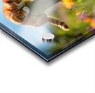 Bichon Frise Puppy Meets Garden Cat Acrylic print