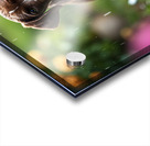 Happy German Shorthaired Pointer Puppy Rests In Rain Acrylic print