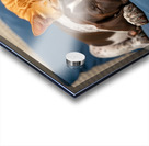 Puppy And Cat Snuggle Together Peacefully Impression Acrylique