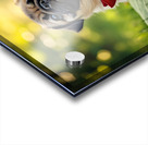 Pug Puppy Relaxes After Fun Day Impression Acrylique