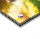 Beagle Puppy Senses Something Strange Behind Him Impression Acrylique