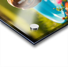 Beagle Puppy Discovers The Kiddie Pool Impression Acrylique