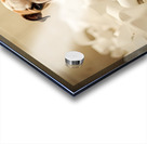 Bulldog Puppys Toilet Paper Trouble Begins Impression Acrylique