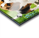 Little Beagle Puppy Discovers Water Bowl Acrylic print