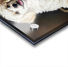 Triumphant Poodle Puppy Completes Paper Bag Adventure Acrylic print