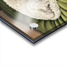 Poodle Puppy Dreams On Green Padded Bed Acrylic print