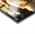 Poodle Puppy Dreams During Story Time Acrylic print