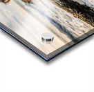 Australian Shepherd Puppy Discovers Tide Pools Impression Acrylique