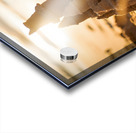 Golden Retriever Puppy Discovers Amazing Sand Castle Acrylic print