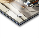 Satisfied Golden Retriever Puppy After Finishing Meal Acrylic print