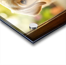 Curious Puppy Discovers Cat Flap Door Impression Acrylique