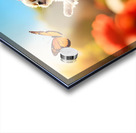 Shih Tzu Puppy Discovers Beautiful Butterfly In Garden Impression Acrylique