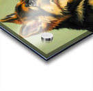 German Shepherd Puppy Meets Sleeping Cat Impression Acrylique