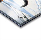 Happy German Shepherd Puppy Rests In Snow Acrylic print