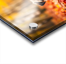 Pug Puppy Crowned With Autumn Leaf Victory Acrylic print