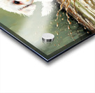 Muddy Bichon Frise Puppy After Puddle Adventure Acrylic print