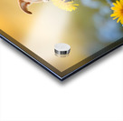 Happy Chihuahua Puppy After Sniffing Dandelion Impression Acrylique