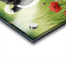 Shih Tzu Puppy Happy In Grass Acrylic print