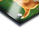 Proud Corgi Puppy Celebrates Learning New Trick Acrylic print