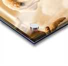 Peaceful Labrador Puppy Enjoying Calm Bath Time Impression Acrylique