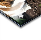 Shih Tzu Puppy Ready To Help In The Garden Impression Acrylique