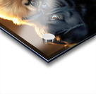 Pug Puppy Rests After Exciting Play Session Impression Acrylique