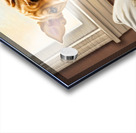 Curious Labrador Puppy Peeking Behind White Curtains Acrylic print