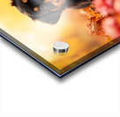 Tired Rottweiler Puppy Rests On Autumn Leaf Bed Acrylic print