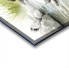 Adventurous German Shorthaired Pointer Puppy Rests After Day Of Exploring Acrylic print