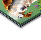 Beagle Puppy Spots Flying Frisbee Acrylic print