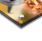 Rottweiler Puppy Discovers Autumn Leaf Pile Acrylic print