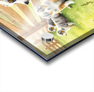 Content Australian Shepherd Puppy Enjoys Peaceful Moment Impression Acrylique