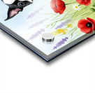 Boston Terrier Puppy Discovers Wildflower Meadow Impression Acrylique