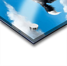 Successful Border Collie Puppy With Tennis Ball Acrylic print