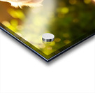 Golden Retriever Puppy Discovers Ice Cream Treat Impression Acrylique