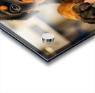 Rottweiler Puppys First Vet Visit Impression Acrylique