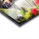 Happy Puppy Walks Away From Peaceful Garden Encounter Acrylic print