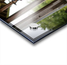 Joyful Rottweiler Puppy Wags Tail Under Porch Impression Acrylique