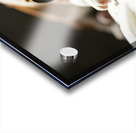 Bulldog Puppy Perfect Portrait Pose Acrylic print