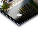 Bulldog Puppy Jumps With Joy At School Gate Impression Acrylique